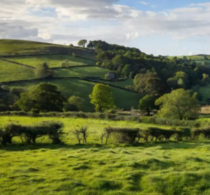 Aerial landscape analysis over rural fields