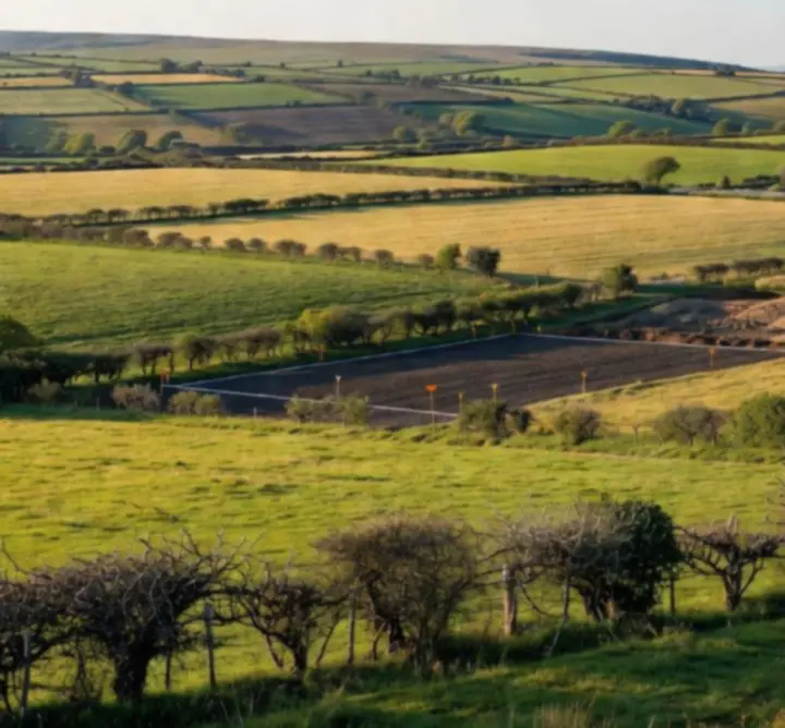 Green rural landscape at sunrise, reflecting sustainable land use.